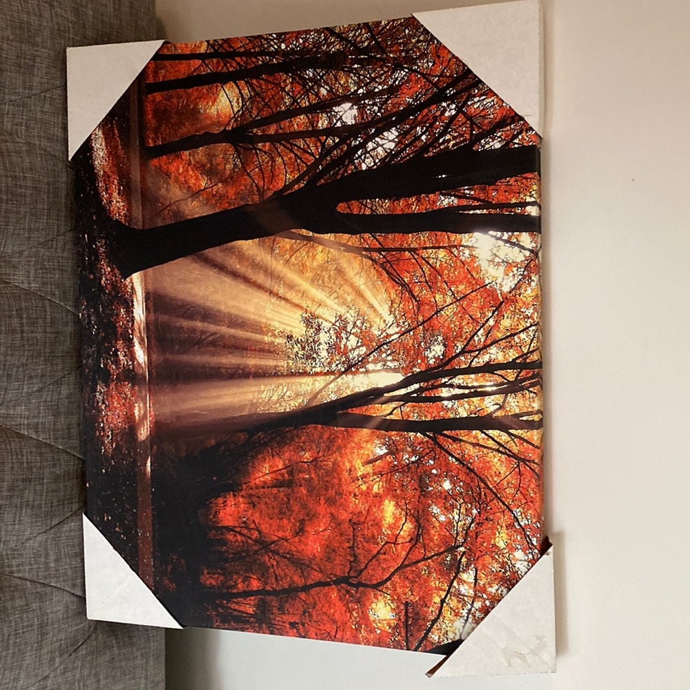 Wall Decor